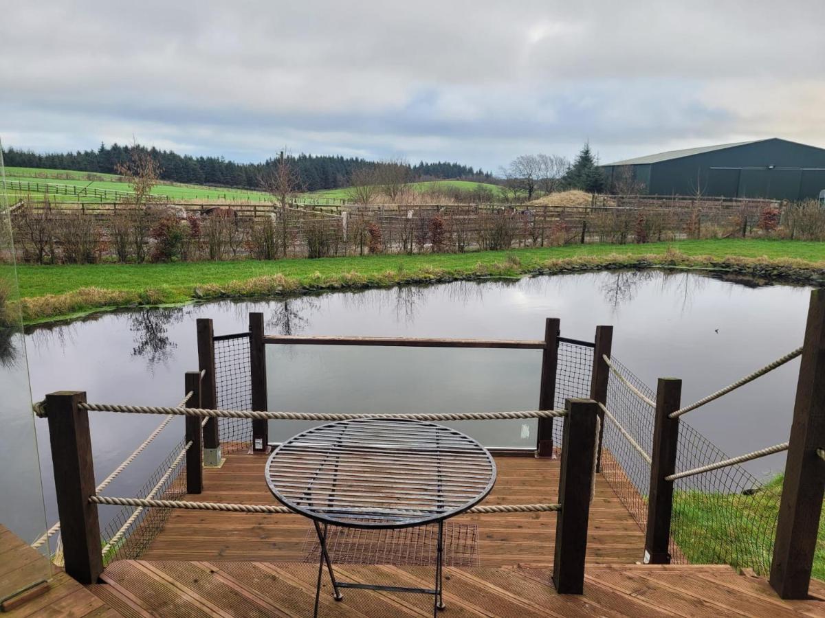 The At Forestview Farm * Greenisland