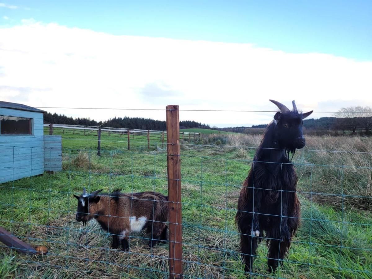The At Forestview Farm Holiday home Greenisland